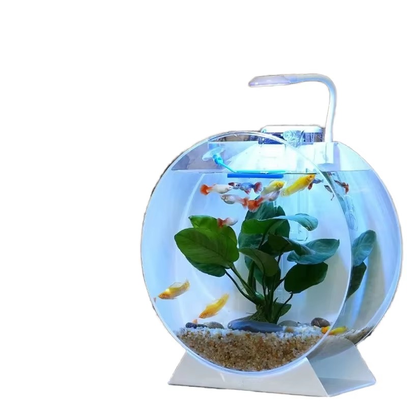 Aquarium Fish Sale - 핫 세일 모던 친환경 아크릴 어항