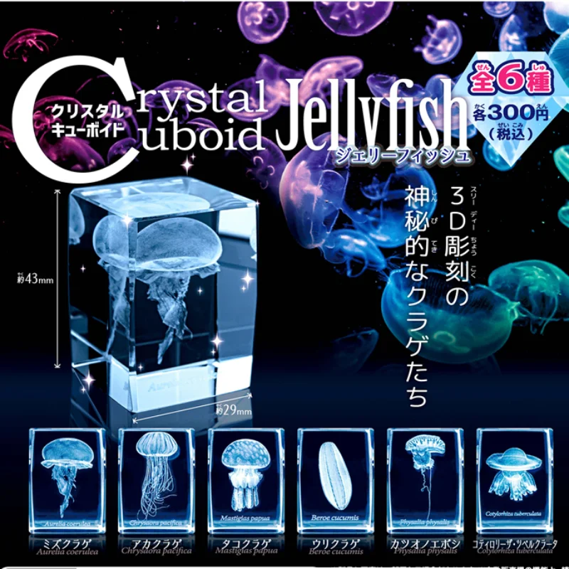 Aquarium Fish Japan - 일본 가샤폰 해파리 3D 크리스탈 직육면체