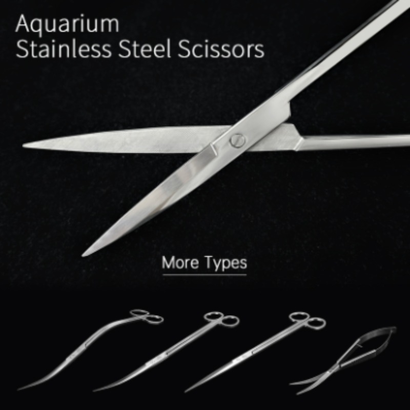Aquarium Fish Photography - 위크 아쿠아 스테인리스 스틸 수초 가위
