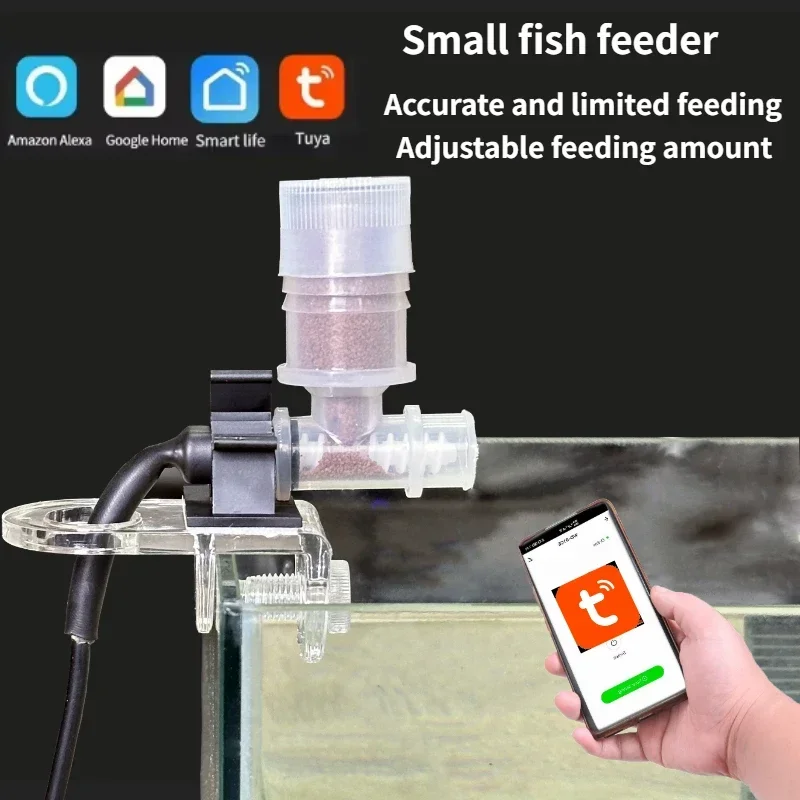 Aquarium Fish Price - 최고의 자동 물고기 공급기 - 수족관용