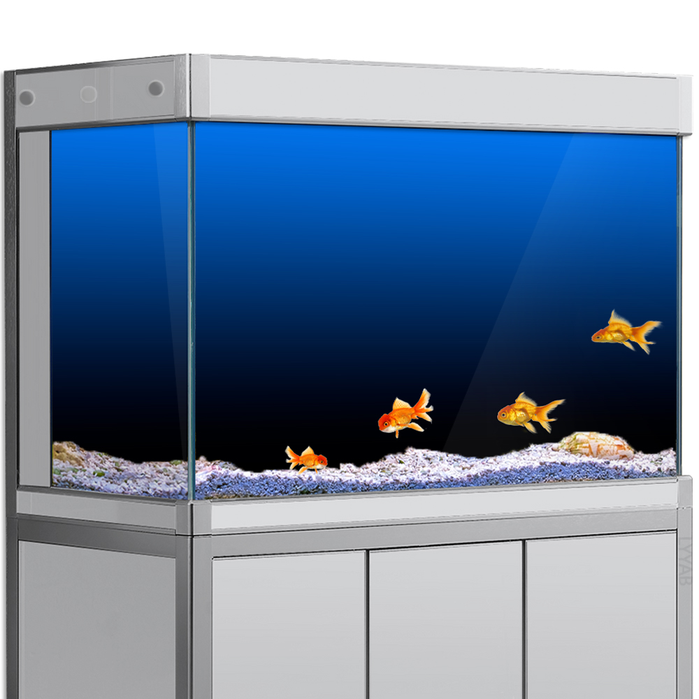 Aquarium Fish Black - 물고기 탱크 배경 스티커 검정 녹색