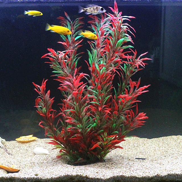 Aquarium Fish Photography - 50CM 인조 어항 희귀 식물 수족관
