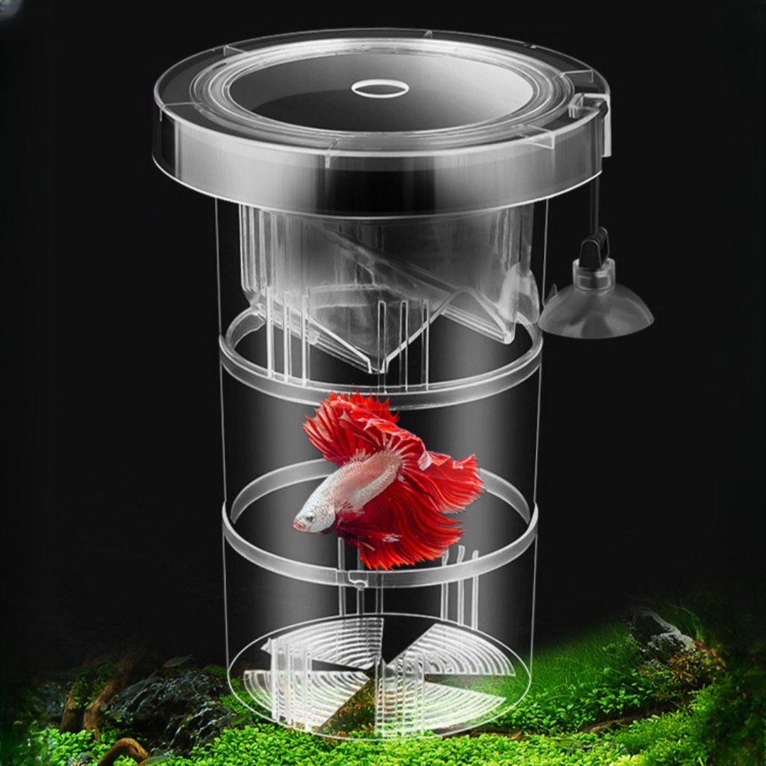 Aquarium Fish Escape - 아크릴 플로팅 어류 번식 격리 상자