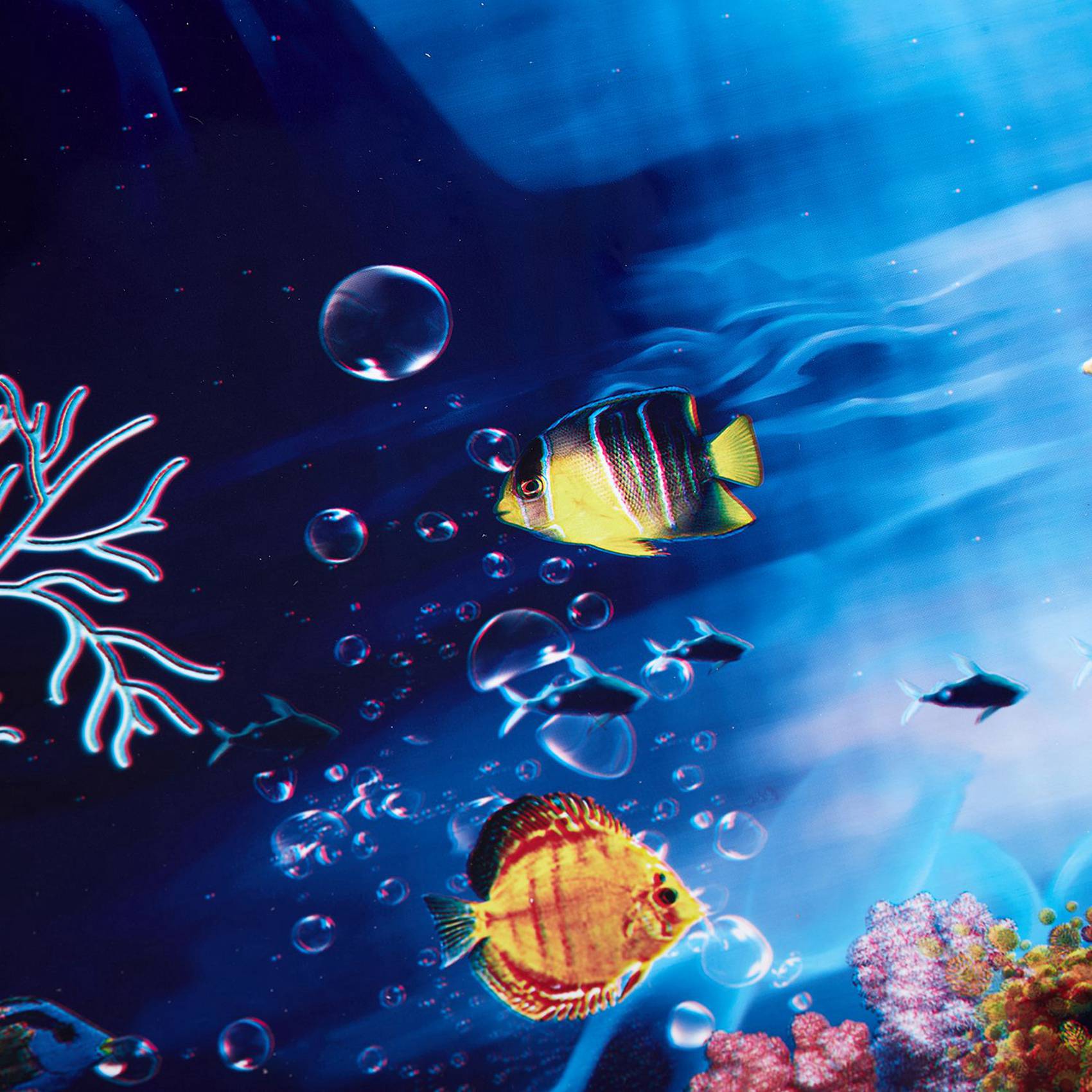 Aquarium Fish Poster - 2X 블루 프레쉬 씨 배경 수족관