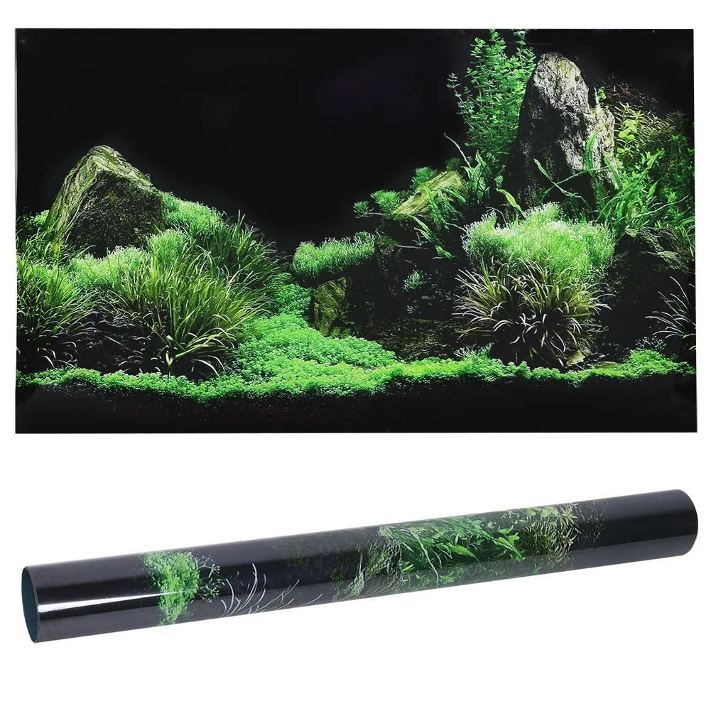 수족관 배경 3D 스티커 포스터, 수족관 배경 액세서리 - Aquarium Fish Poster 리뷰 및 가격