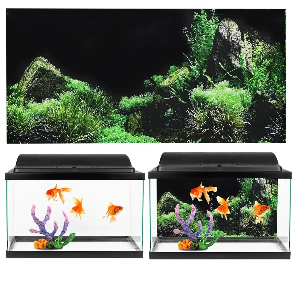 수족관 배경 3D 스티커 포스터, 수족관 배경 액세서리 - Aquarium Fish Poster 리뷰 및 가격
