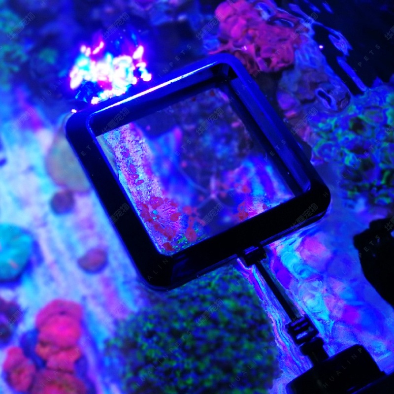 VASTOCEAN 자석 급식 링 수족관 안티 드리프트  - Aquarium Fish Price 리뷰 및 가격