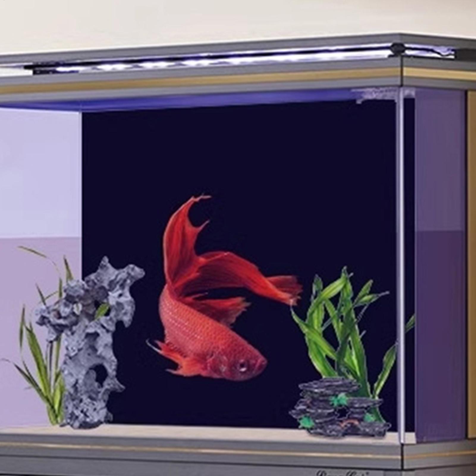 어항 배경 스티커 블랙 어항 배경화면 수족관 포스터 수 - Aquarium Fish Poster 리뷰 및 가격