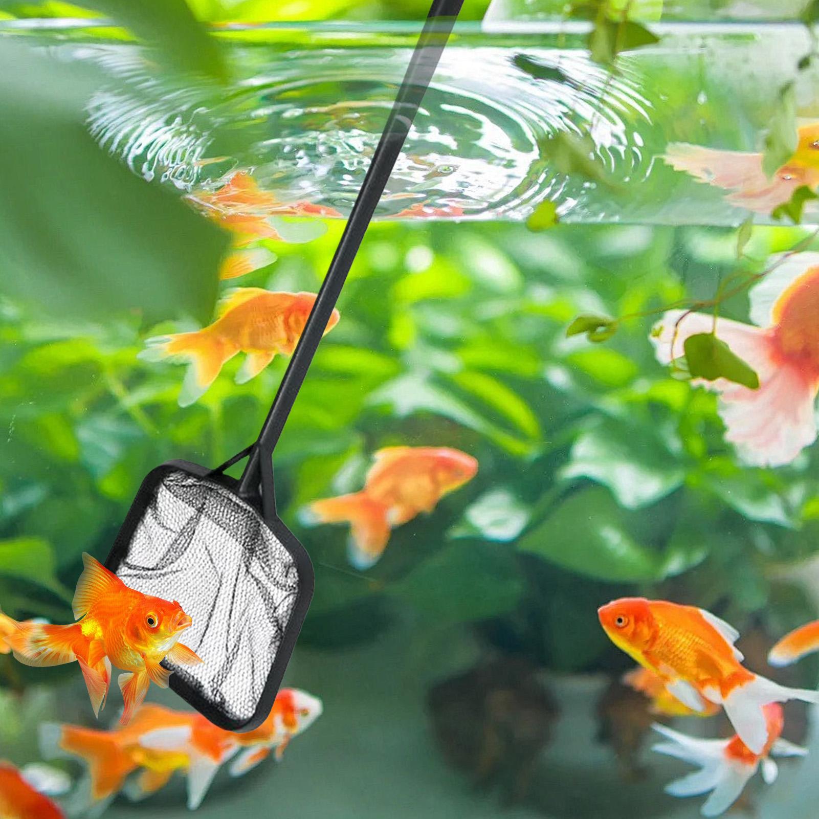 휴대용 수영장 청소용 그물망, 분수 청소용품, 수족관/ - Aquarium Fish Tank Cleaner 리뷰 및 가격