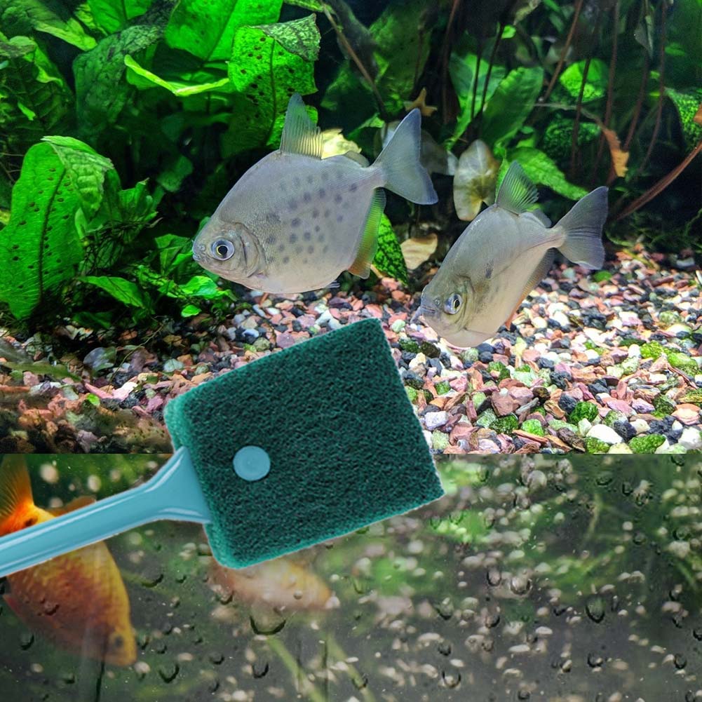 양면 어항 스펀지 클리너 긴 손잡이 수족관 조류 제거기 - Aquarium Fish Tank Cleaner 리뷰 및 가격