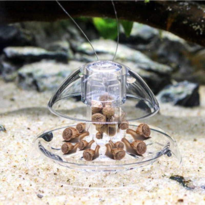 물고기 탱크 수족관 클리너, 달팽이 트랩 캐처, 식물  - Aquarium Fish Escape 리뷰 및 가격