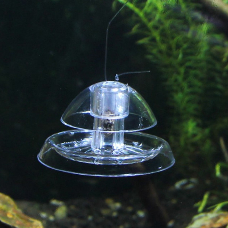 물고기 탱크 수족관 클리너, 달팽이 트랩 캐처, 식물  - Aquarium Fish Escape 리뷰 및 가격