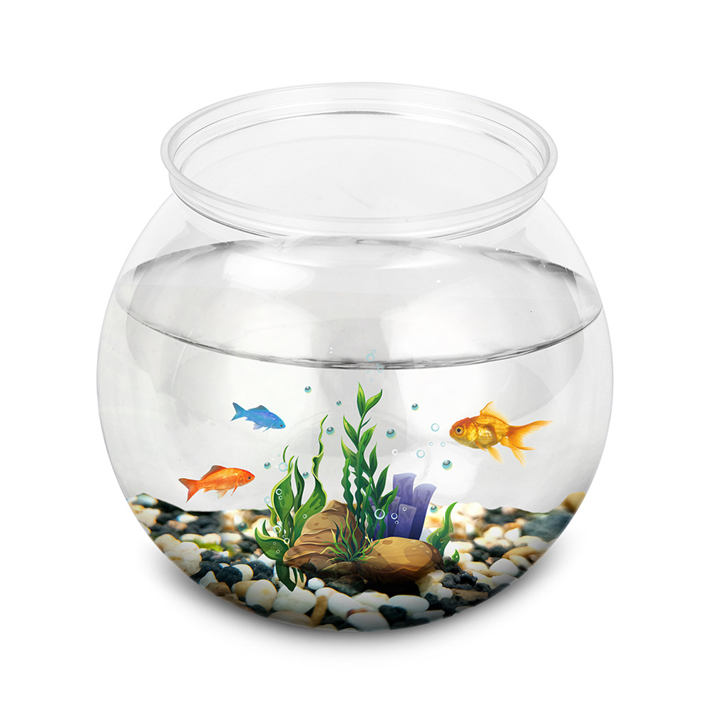 플라스틱 어항, L M S 크기, 데스크탑 수족관 탱크 - Aquarium Xl 리뷰 및 가격