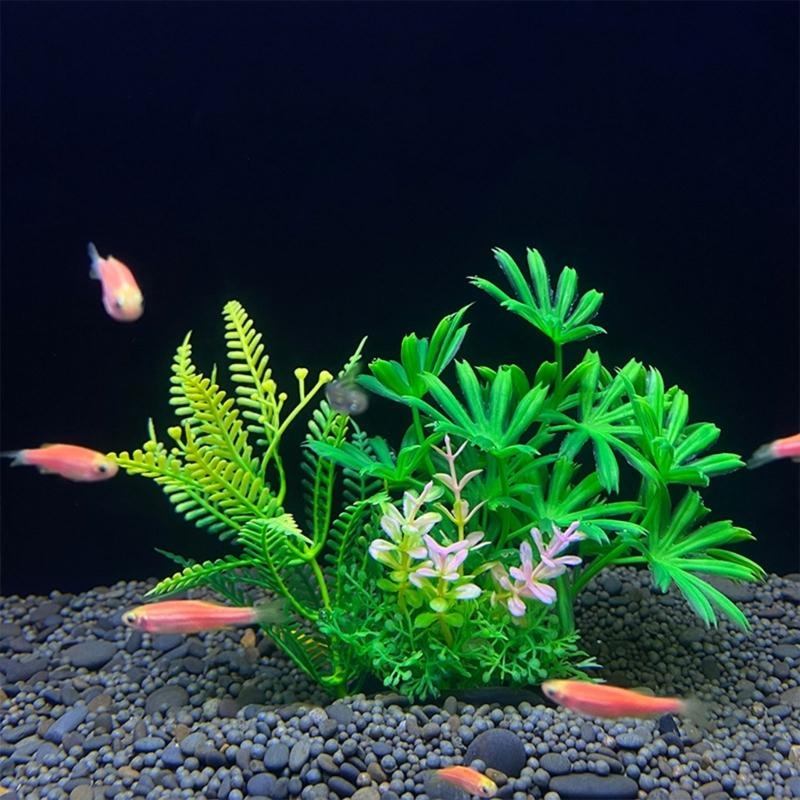인공 수족관 장식 식물 물고기 장식 수족관 조경 시뮬레 - Aquarium Fish Sale 리뷰 및 가격