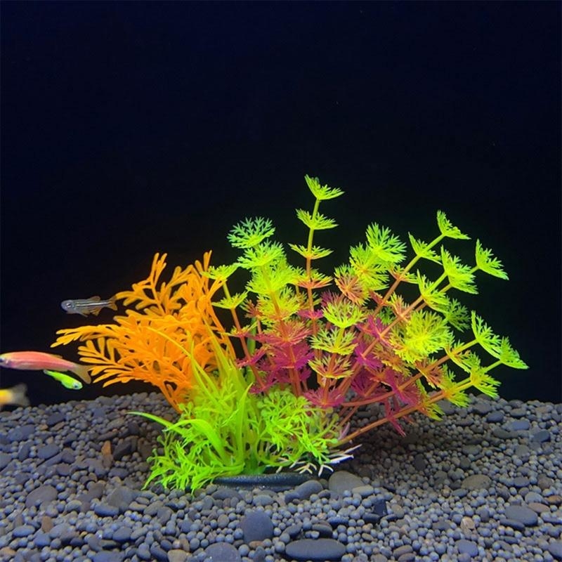 인공 수족관 장식 식물 물고기 장식 수족관 조경 시뮬레 - Aquarium Fish Sale 리뷰 및 가격