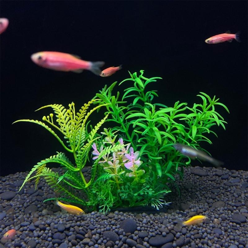 인공 수족관 장식 식물 물고기 장식 수족관 조경 시뮬레 - Aquarium Fish Sale 리뷰 및 가격