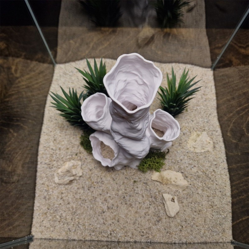 핫세일 3D 프린팅 산호 터널 은신처 나무 식물 장식  - Aquarium Fish Sale 리뷰 및 가격