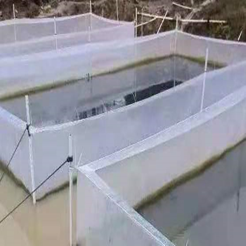 흰색 탈출방지망 케이지 장어 미꾸라지 흡혈충 새끼 난생 - Aquarium Fish Escape 리뷰 및 가격