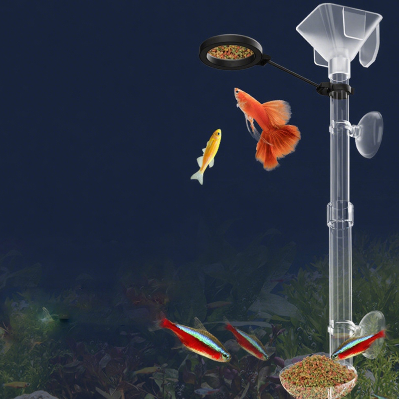 아크릴 수족관 물고기 먹이통 투명 튜브 텔레스코픽 다기 - Aquarium Fish Price 리뷰 및 가격