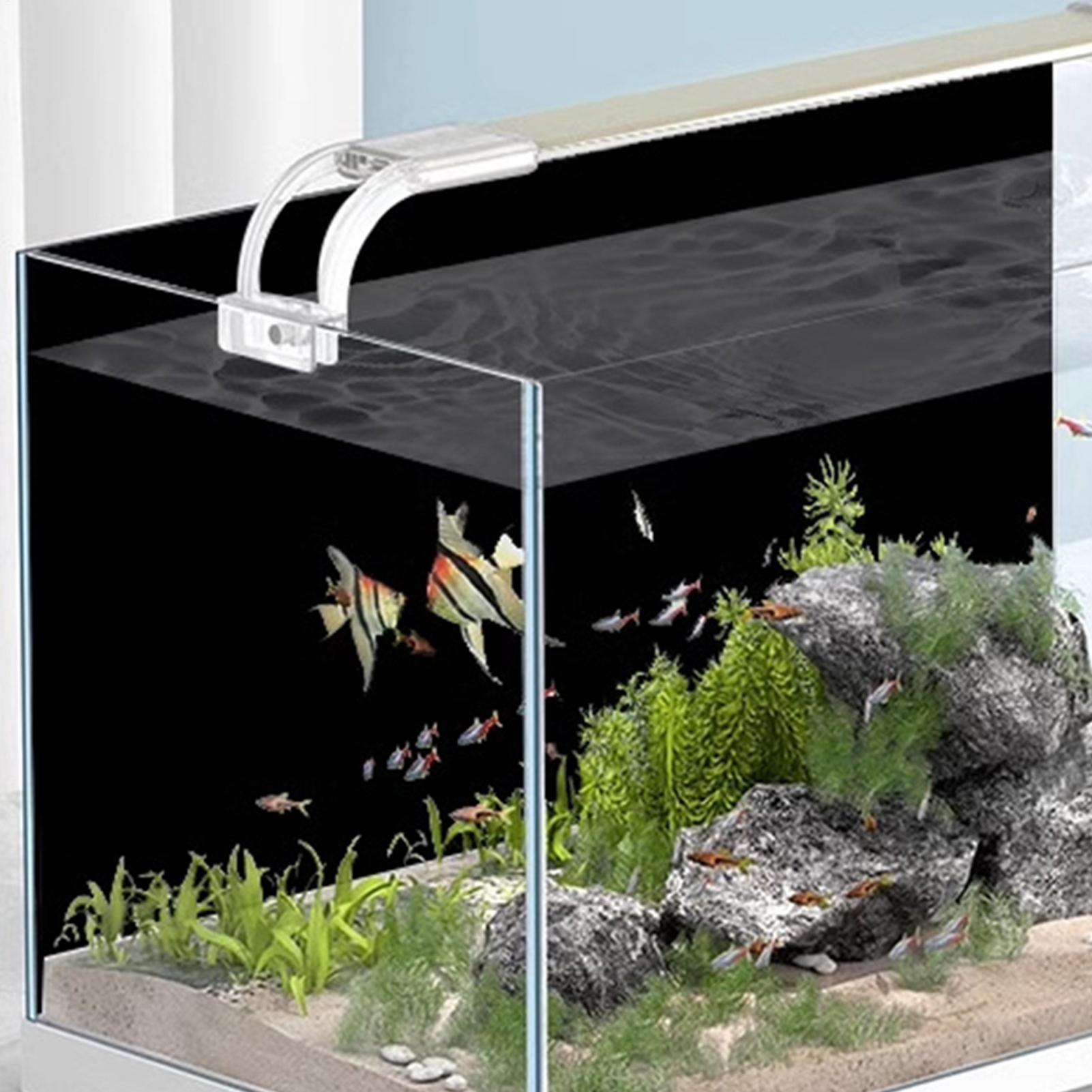 어항 배경 스티커 검정색 수족관 배경 스티커 수족관 포 - Aquarium Fish Poster 리뷰 및 가격