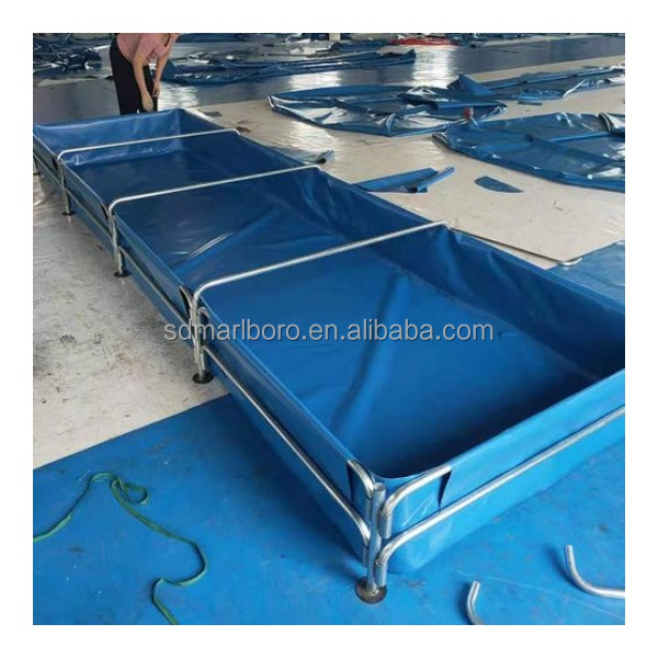 AIROW 맞춤형 상업용 고품질 활어 투명 야외 사각  - Aquarium Fish Sale 리뷰 및 가격