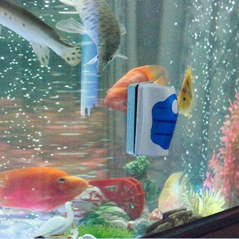 물고기 탱크 유리 스크레이퍼 클리너 플로팅 수족관 클리 - Aquarium Fish Escape 리뷰 및 가격