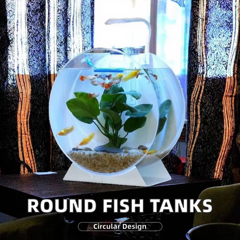 핫 세일 모던 친환경 아크릴 어항 다양한 크기의 데스크 - Aquarium Fish Sale 리뷰 및 가격