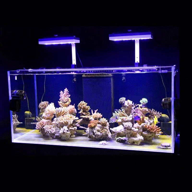 아쿠아 일루미네이션 AI 하이드라 32HD/64HD 리 - Aquarium Fish Black 리뷰 및 가격