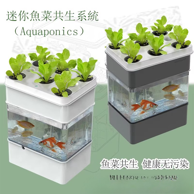 수조 수족관 작은 생태 수출 - Aquarium Fish Exporter 리뷰 및 가격