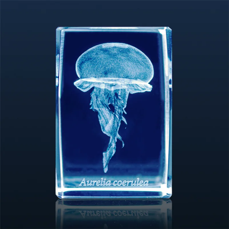 일본 가샤폰 해파리 3D 크리스탈 직육면체 바위 어항  - Aquarium Fish Japan 리뷰 및 가격