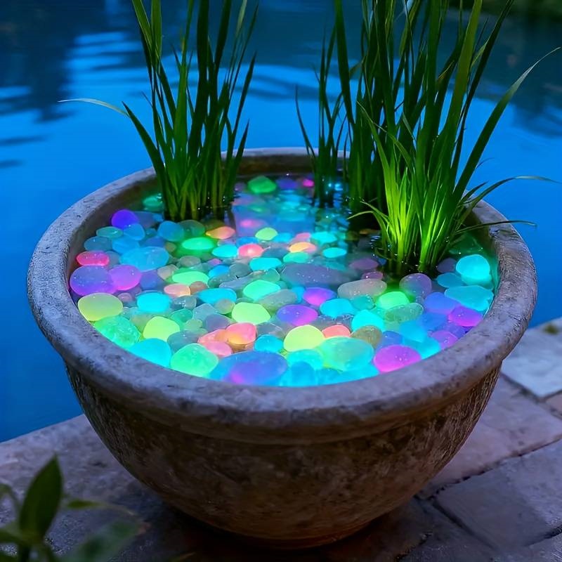 200개 야광 정원 자갈, 보도, 정원 테라스, 잔디밭 - Aquarium Fish Glow In The Dark 리뷰 및 가격