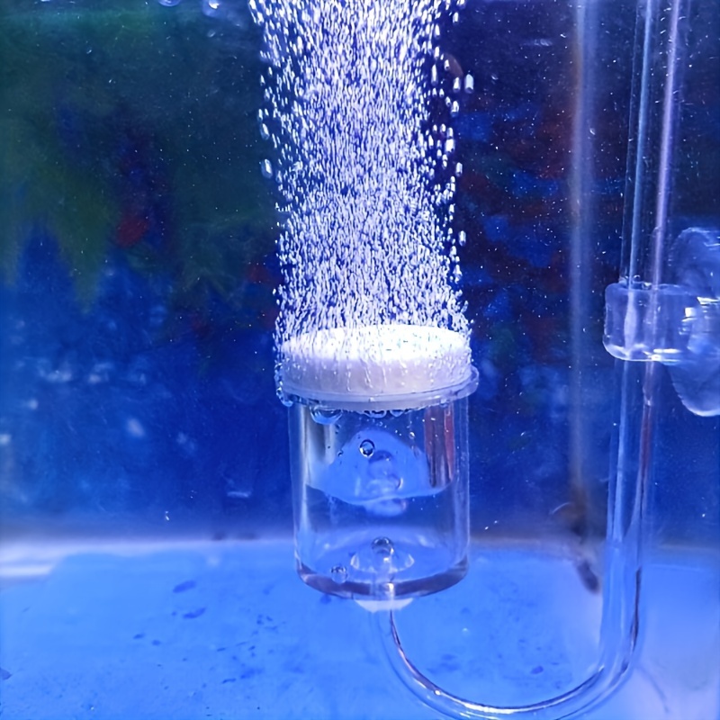 수족관 유리 CO2 무화기 디퓨저 버블 카운터, 수족관 - Aquarium Fish Photography 리뷰 및 가격