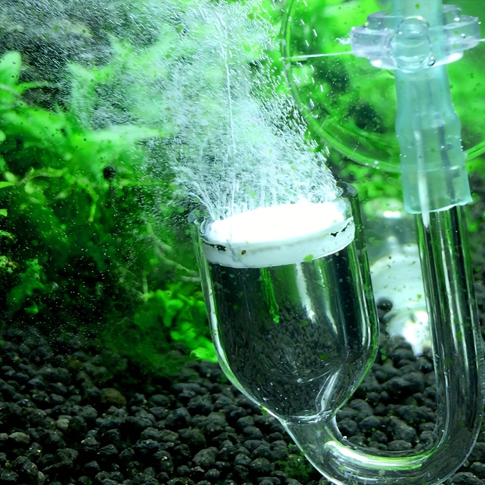 수족관 유리 CO2 무화기 디퓨저 버블 카운터, 수족관 - Aquarium Fish Photography 리뷰 및 가격