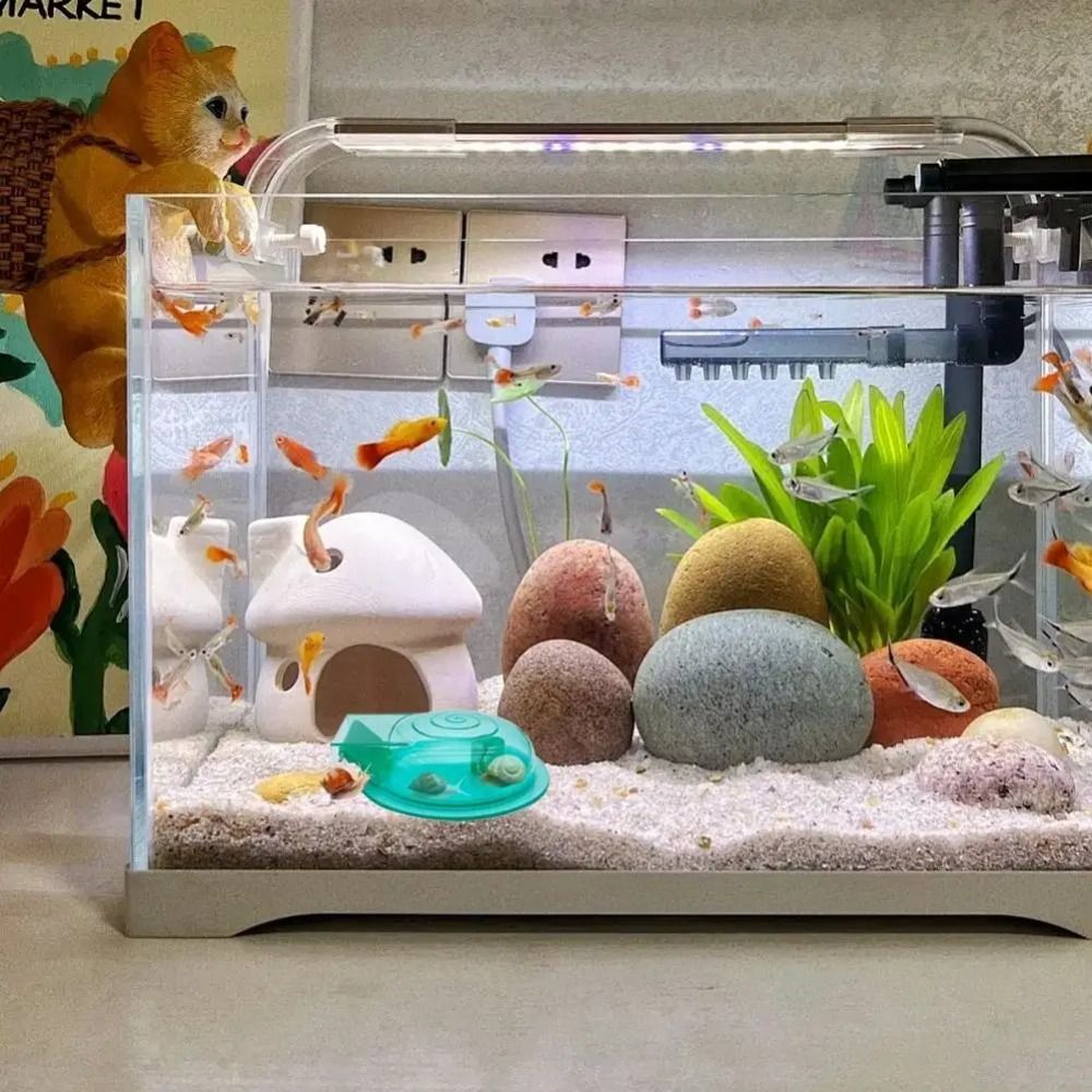 담수 해수 수족관 달팽이 트랩 효과적인 다목적 달팽이  - Aquarium Fish Escape 리뷰 및 가격