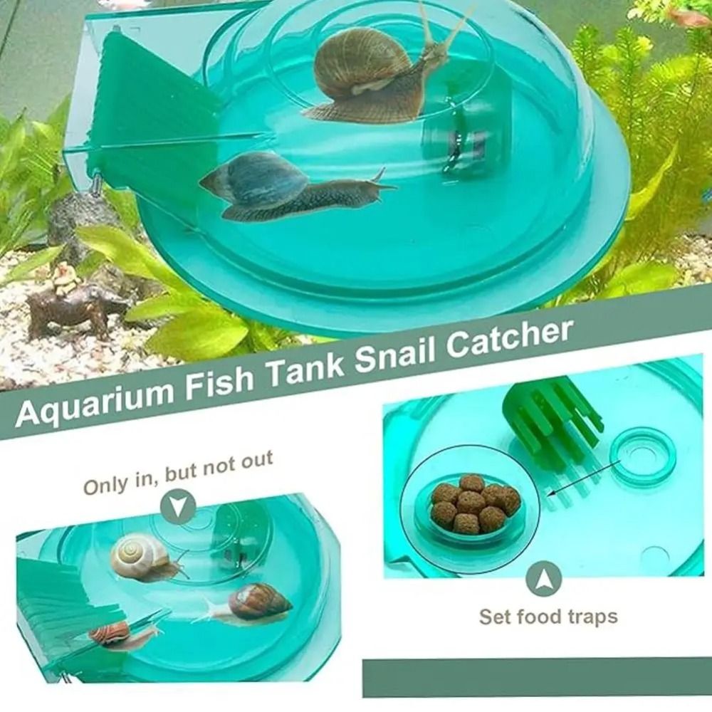 담수 해수 수족관 달팽이 트랩 효과적인 다목적 달팽이  - Aquarium Fish Escape 리뷰 및 가격