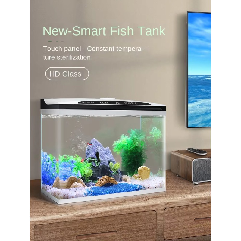 맞춤형 대형 유리 어항, 가정 및 사무실용 스마트 자동 - Aquarium Xl 리뷰 및 가격