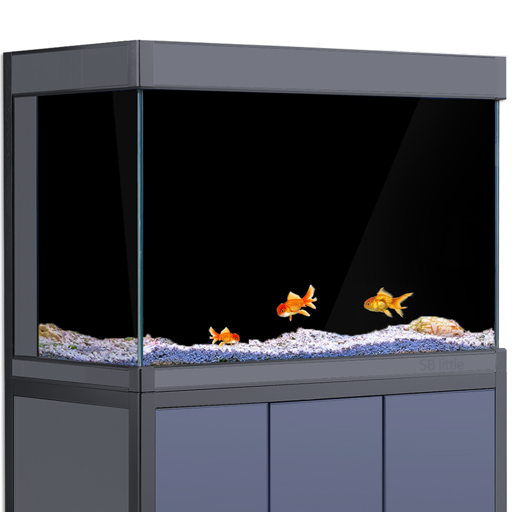 수족관 배경 스티커 검정색 흰색 어항 배경 화면 어항  - Aquarium Fish Poster 리뷰 및 가격