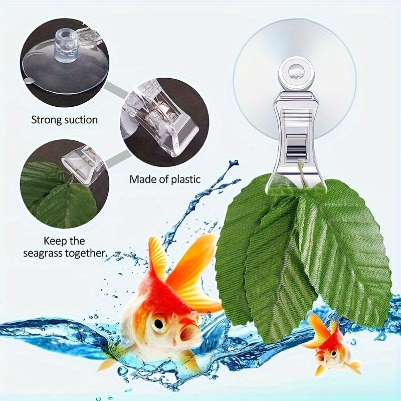 8pcs 물고기 해초 클립 식물 흡입 컵 클립 피드 홀 - Aquarium Fish Photography 리뷰 및 가격