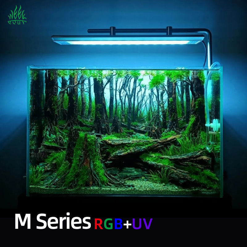 위카쿠아 M300/M400/M450 D1 PRO 특가  - Aquarium Fish Sale 리뷰 및 가격