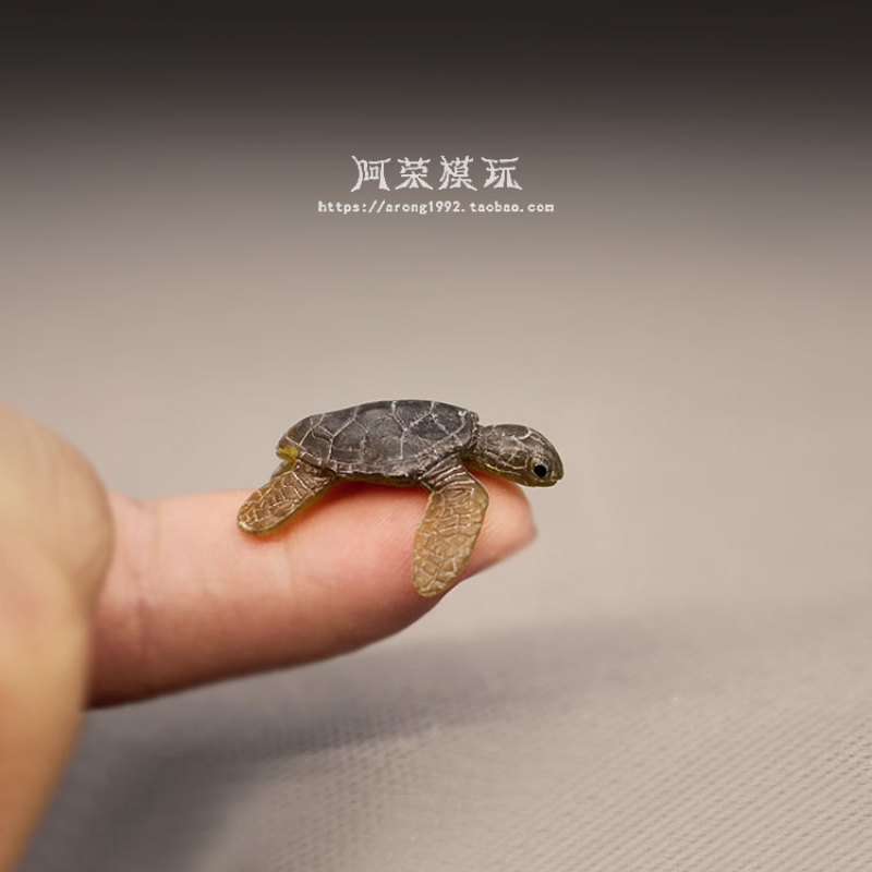 해양 생물 바다 거북이 모델 장식품, 해양 동물, 귀여 - Aquarium Fish Japan 리뷰 및 가격