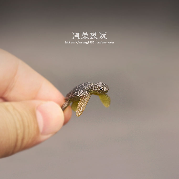 해양 생물 바다 거북이 모델 장식품, 해양 동물, 귀여 - Aquarium Fish Japan 리뷰 및 가격
