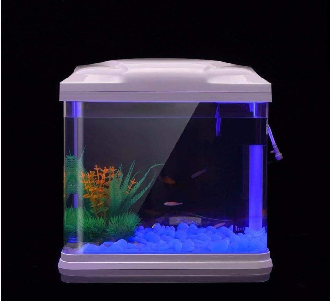 물고기 탱크 바위 정원 물고기 탱크 수족관 식물 냄비  - Aquarium Fish Photography 리뷰 및 가격