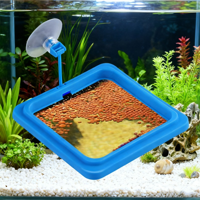 수족관 물고기 먹이 링 스테이션 플로팅 푸드 트레이 피 - Aquarium Fish Price 리뷰 및 가격