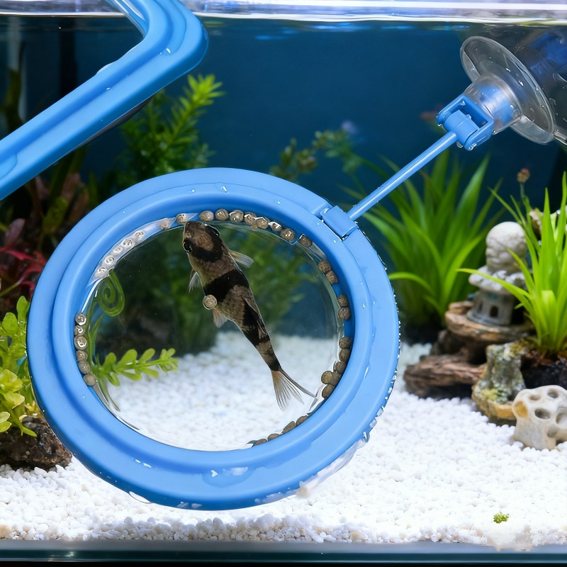 수족관 물고기 먹이 링 스테이션 플로팅 푸드 트레이 피 - Aquarium Fish Price 리뷰 및 가격