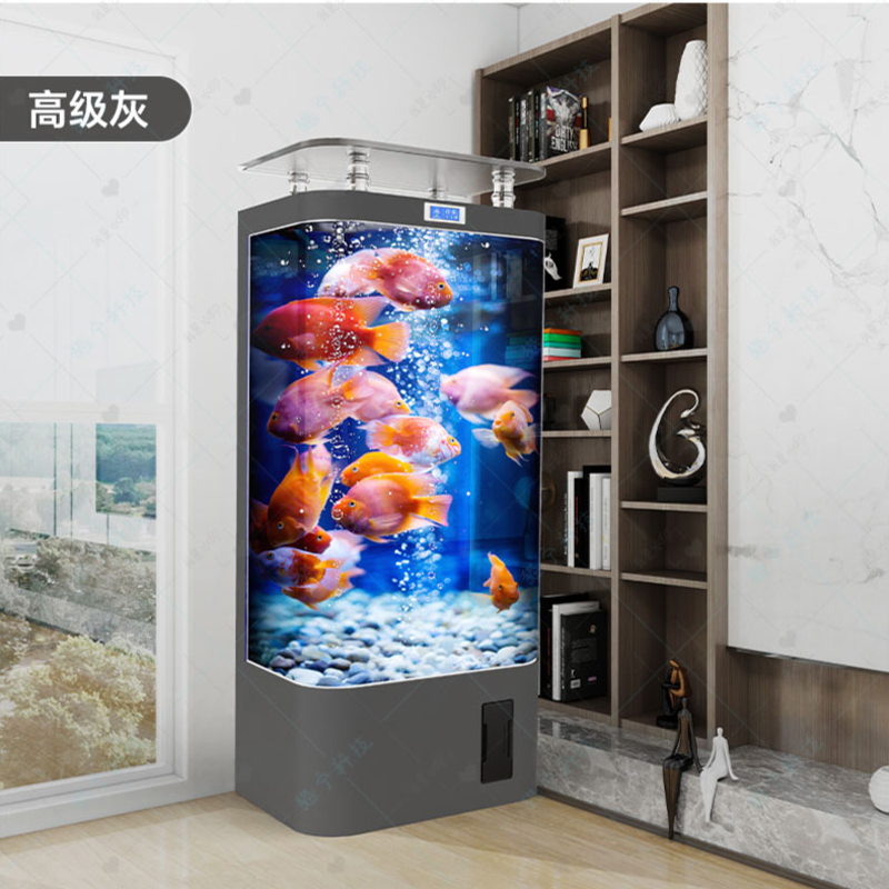스마트 금붕어 수조, 거실용, 가정용 중형 수직 필터  - Aquarium Xl 리뷰 및 가격