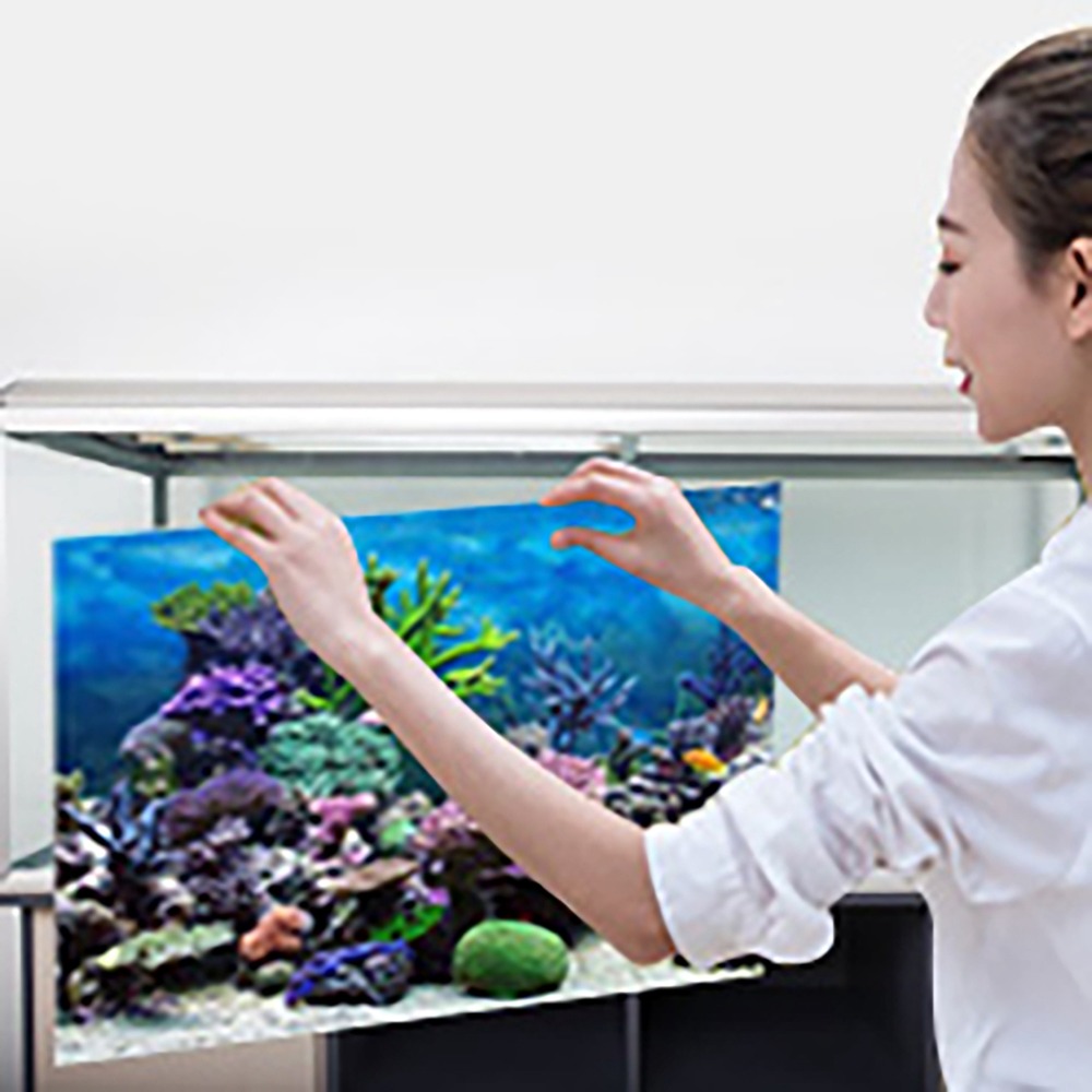 PVC 수족관 배경 포스터 접착식 두꺼운 3D 수족관  - Aquarium Fish Poster 리뷰 및 가격