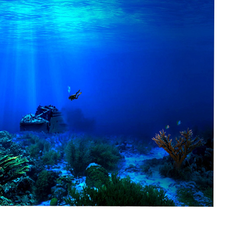 PVC 수족관 배경 포스터 접착식 두꺼운 3D 수족관  - Aquarium Fish Poster 리뷰 및 가격