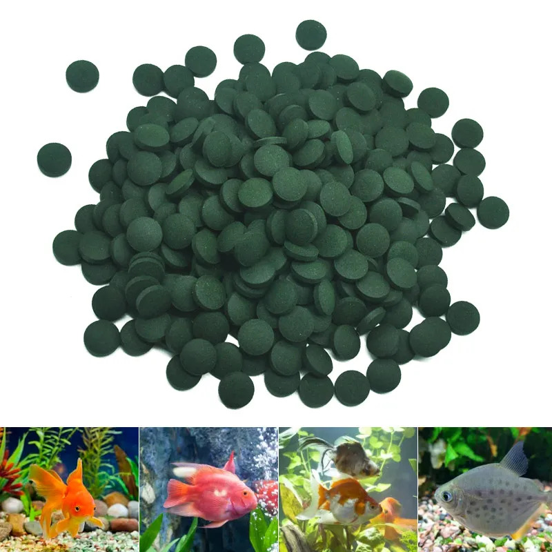 50-300개 고순도 스피룰리나 정제 나선형 해조류 강 - Aquarium Fish Price 리뷰 및 가격