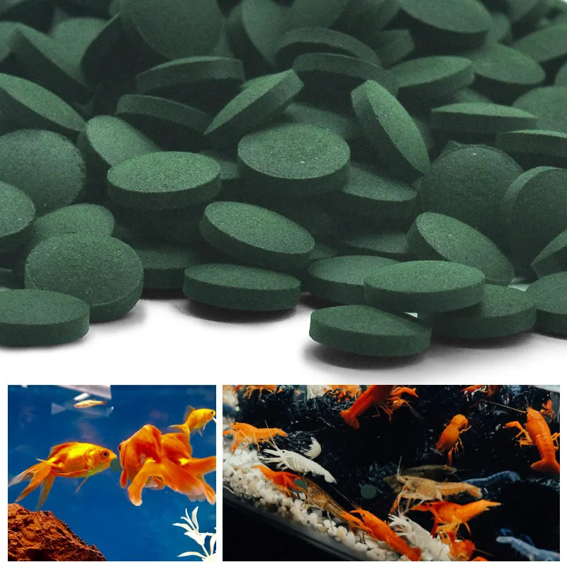 50-300개 고순도 스피룰리나 정제 나선형 해조류 강 - Aquarium Fish Price 리뷰 및 가격