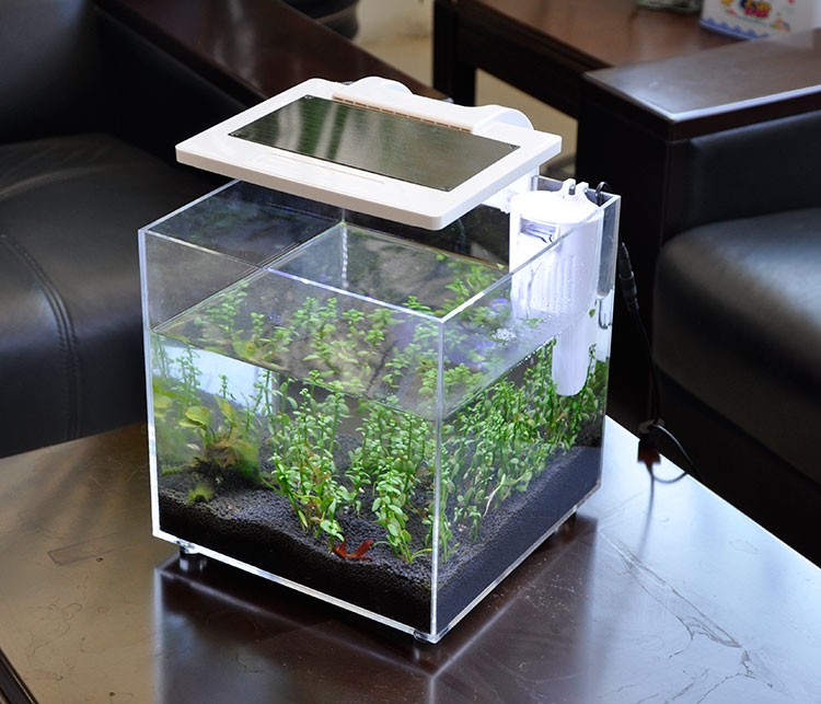 미니 아크릴 (25*25*25cm) 조명, 필터 시스템 - Aquarium Fish Sale 리뷰 및 가격
